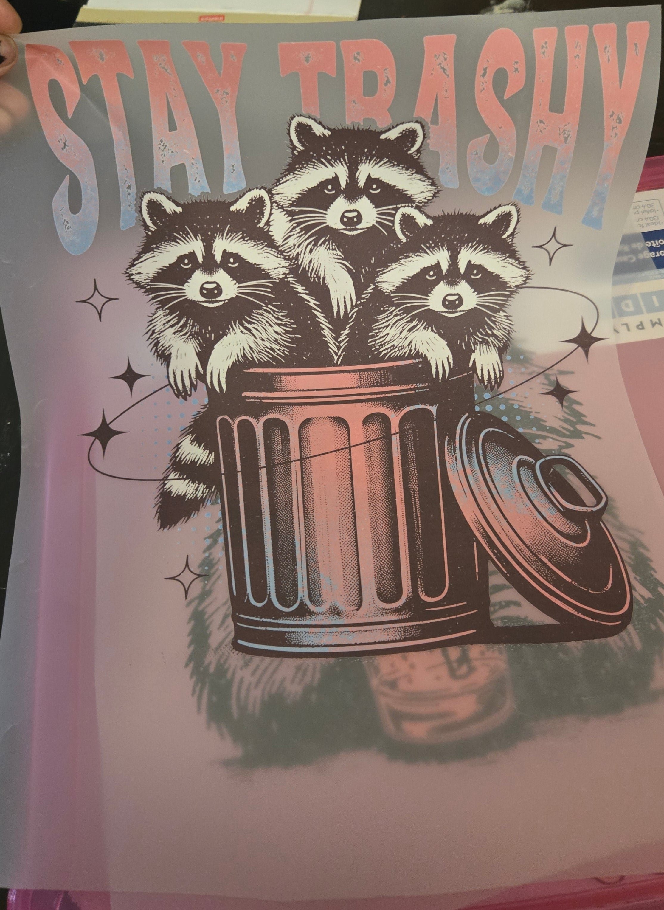 Stay Trashy Trash Panda's