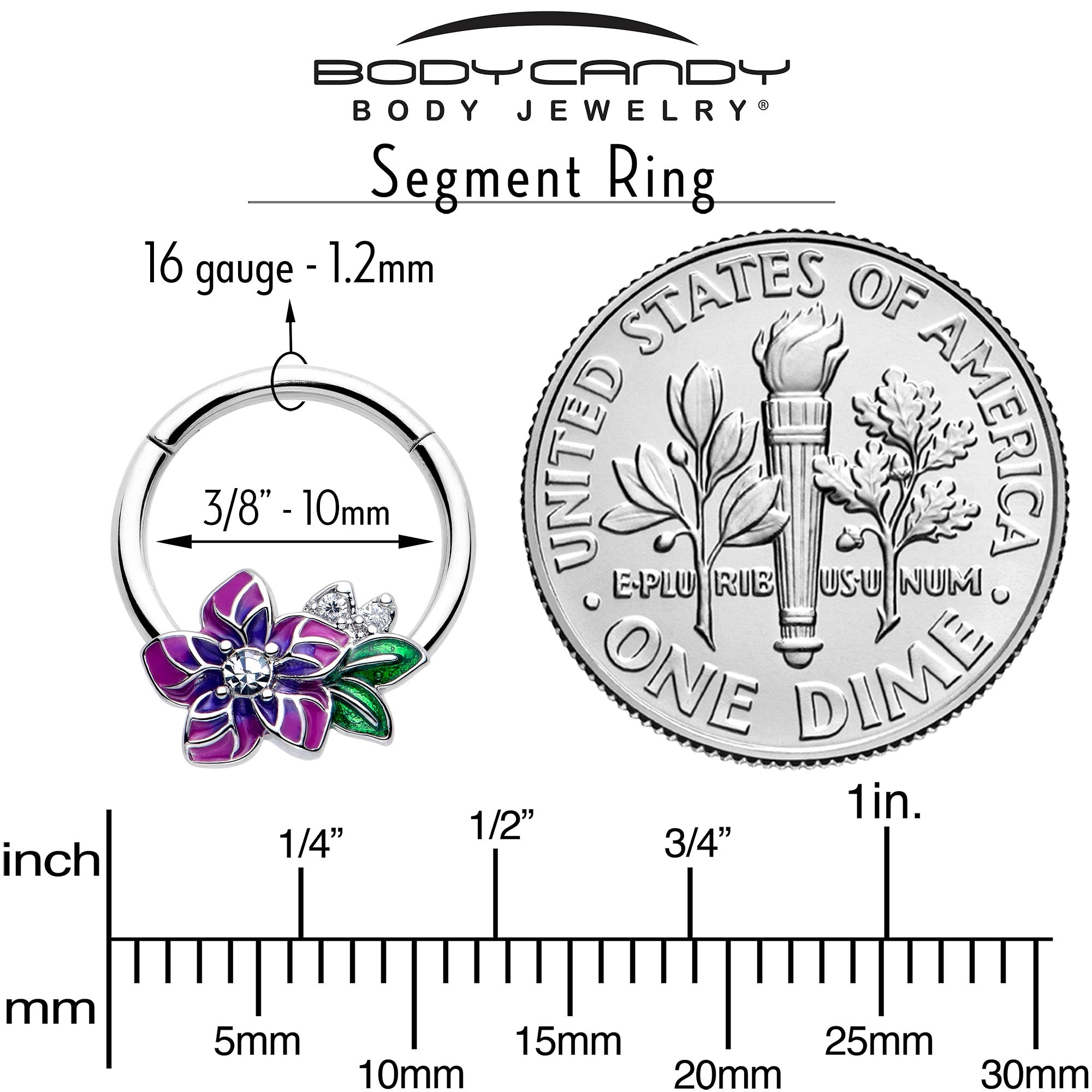 16G 3/8 Clear CZ Gem Flower Purple Hinged Segment Ring