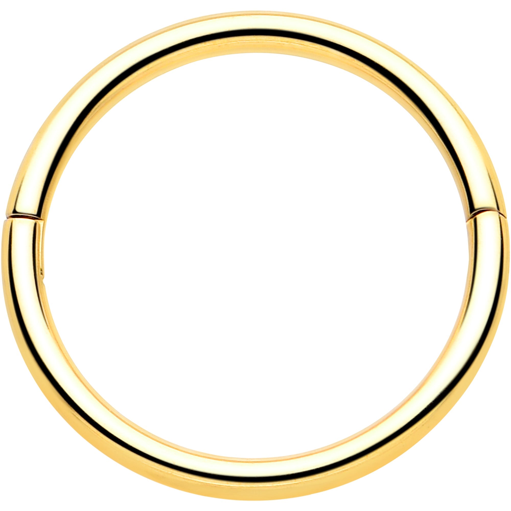 20G Implant Grade Titanium Half Closure Hinged Segment Ring