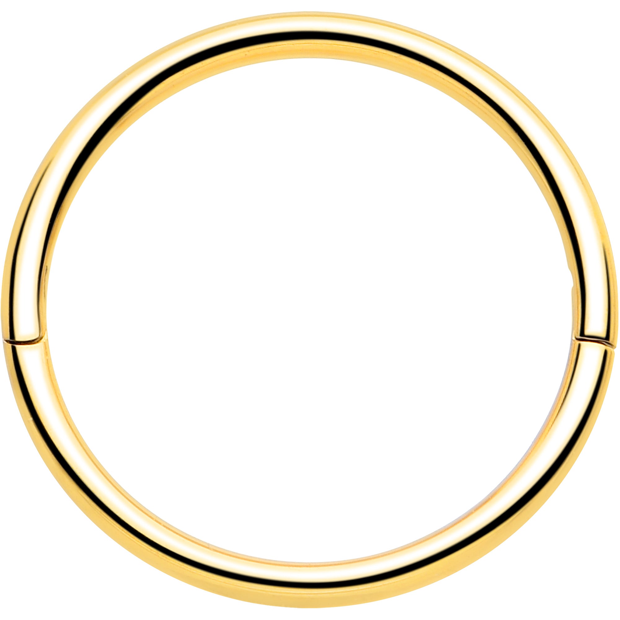 20G Implant Grade Titanium Half Closure Hinged Segment Ring